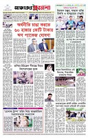 পৃষ্ঠা-৮।-শেষের-পাতা