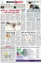 পৃষ্ঠা-৮।-শেষের-পাতা