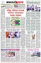 পৃষ্ঠা-৮।-শেষের-পাতা